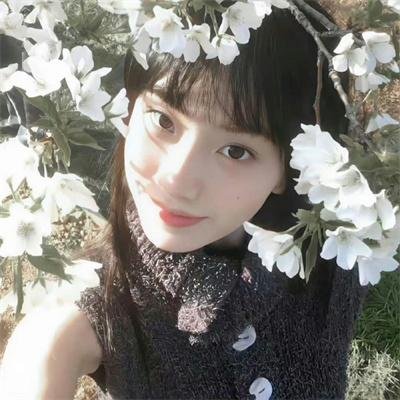 永远的姐妹